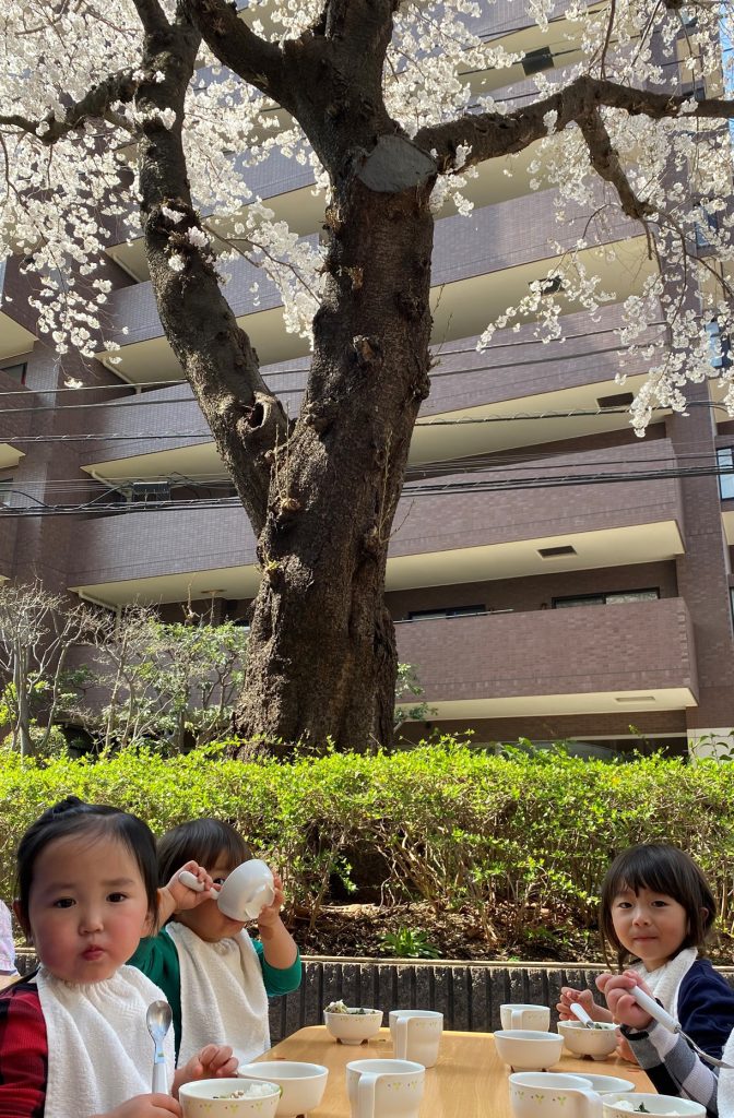 エントランスの桜の木の下でみんなで食べるお昼